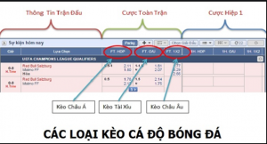 hướng dẫn cá cược cho người mới