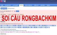 rongbachkim-ket-qua-web-choi-lo-de-online2